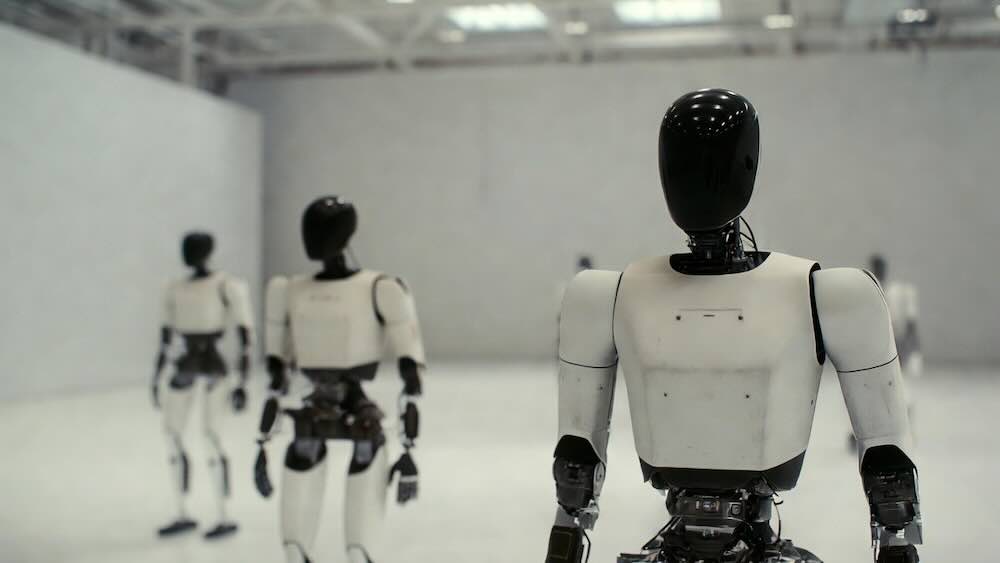 Tesla Optimus Humanoid Robot